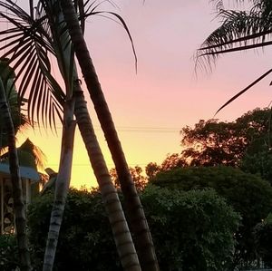 Unique Boutique Items